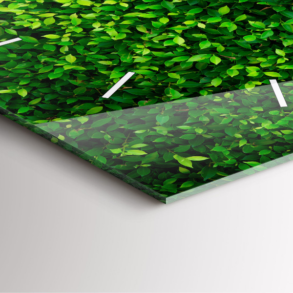 Ceas pătrat de perete din sticlă Frunze de gard viu