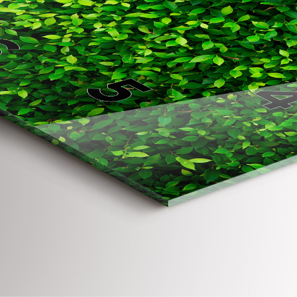 Ceas pătrat de perete din sticlă Frunze de gard viu