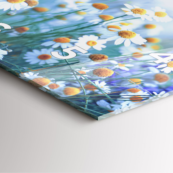 Ceas pătrat de perete din sticlă Fluture pe pajiște