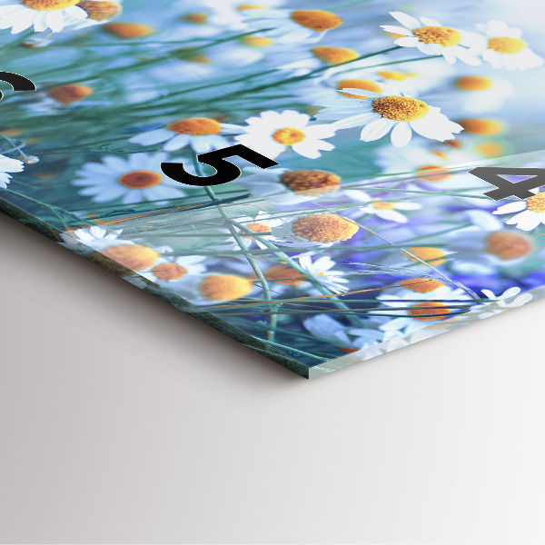 Ceas pătrat de perete din sticlă Fluture pe pajiște