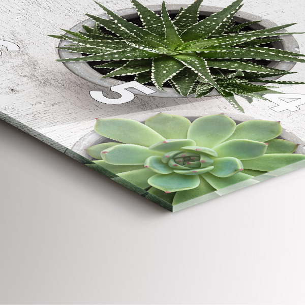 Ceas pătrat de perete din sticlă Plante decorative