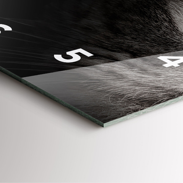 Ceas pătrat de perete din sticlă Câine și pisică scoțian