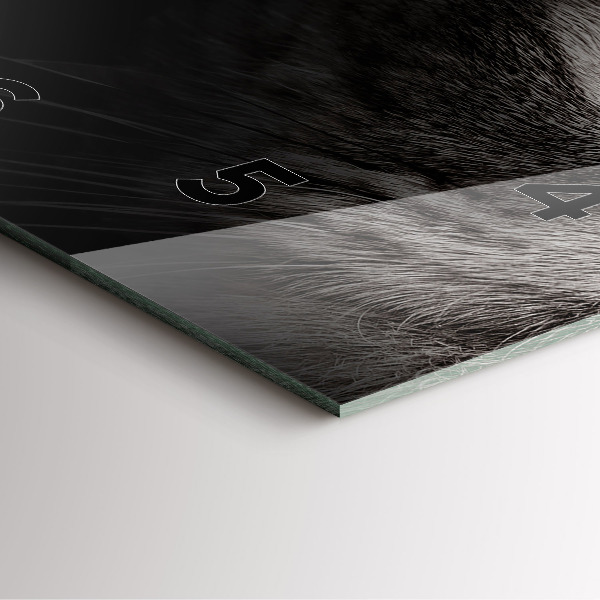 Ceas pătrat de perete din sticlă Câine și pisică scoțian