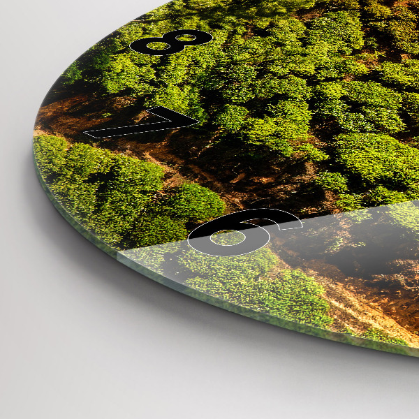 Ceas rotund de perete din sticlă Dealul de ceai