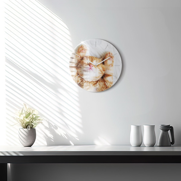 Ceas rotund de perete din sticlă Pisicuta adormita