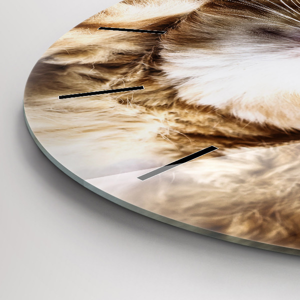 Ceas rotund de perete din sticlă Pisicuta adormita