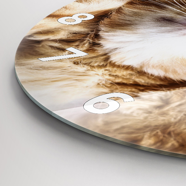 Ceas rotund de perete din sticlă Pisicuta adormita