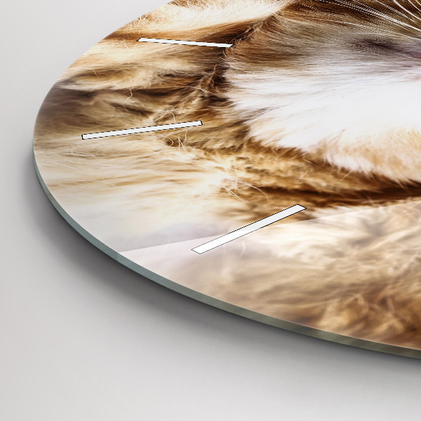 Ceas rotund de perete din sticlă Pisicuta adormita