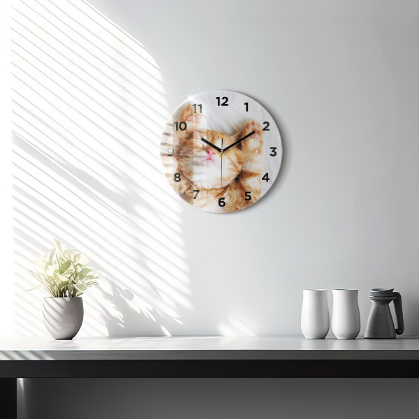 Ceas rotund de perete din sticlă Pisicuta adormita