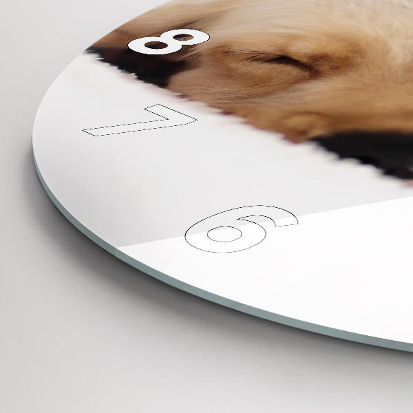 Ceas rotund de perete din sticlă Pisică și câine adormit