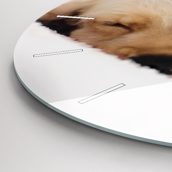 Ceas rotund de perete din sticlă Pisică și câine adormit