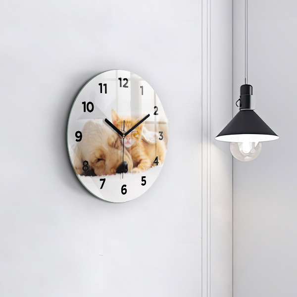 Ceas rotund de perete din sticlă Pisică și câine adormit