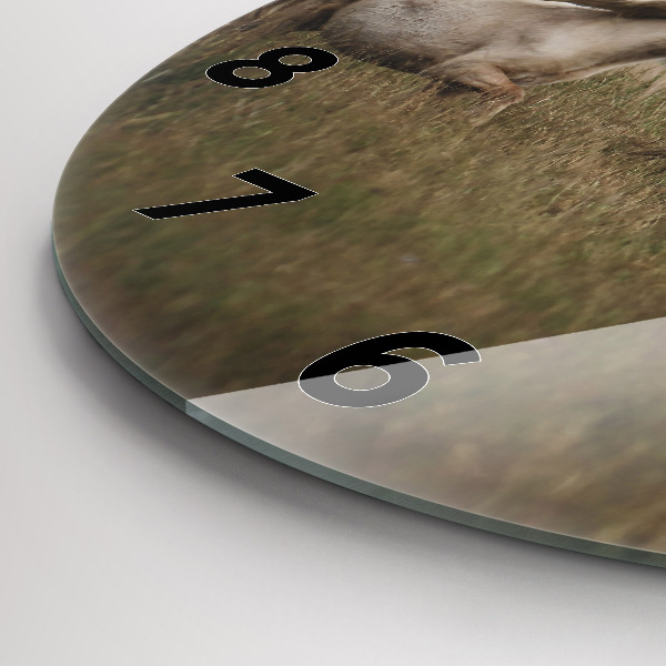 Ceas rotund de perete din sticlă Caii în galop