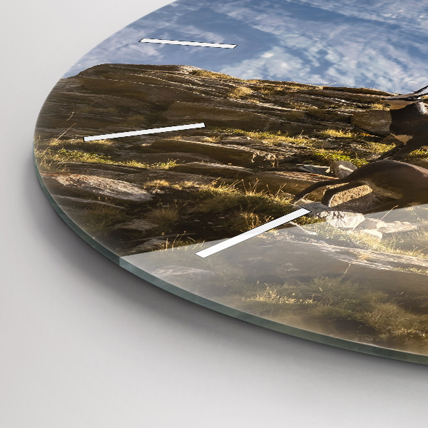 Ceas rotund de perete din sticlă Capră în Valea Aostei