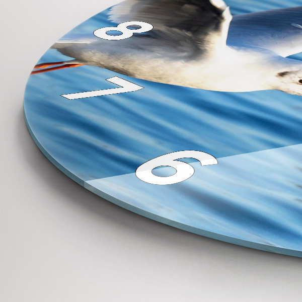 Ceas rotund de perete din sticlă Pescăruși în Gdynia