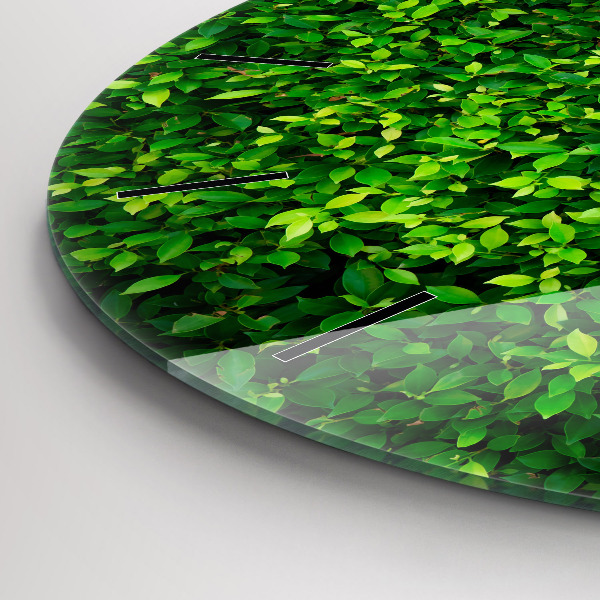 Ceas rotund de perete din sticlă Frunze de gard viu