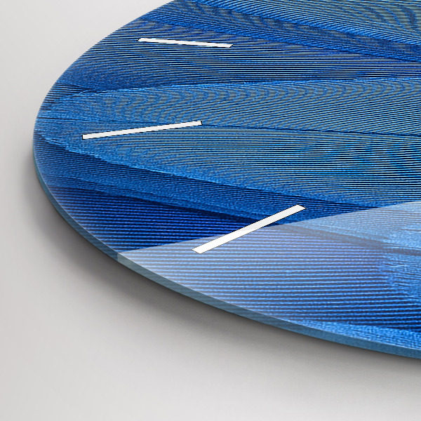 Ceas rotund de perete din sticlă Pene de pasăre