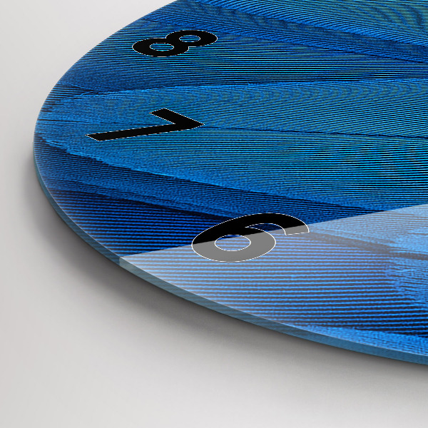 Ceas rotund de perete din sticlă Pene de pasăre