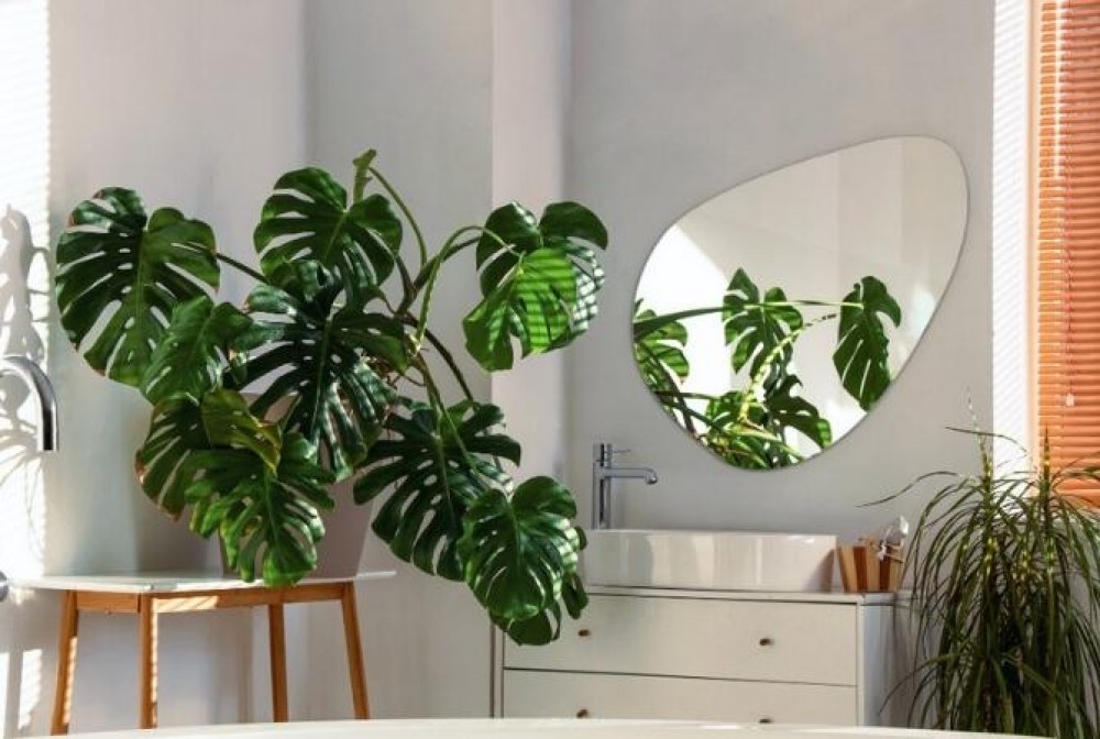 oglindă pentru o baie albă